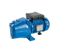 SPERONI CAM 40 HP 0,75 MONOFASE Elettropompa Autoadescante Pompa Autoclave