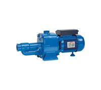 SPERONI CAM150 1,5 HP 1,1 KW Monofase Elettropompa Autoadescante con Eiettore