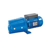 SPERONI CAM202 2 HP 1,5 KW Monofase Elettropompa Autoadescante Pompa