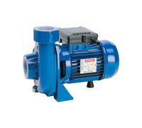 SPERONI CBM150 1,5 HP 1,1 KW MONOFASE Elettropompa Centrifuga Alta Portata