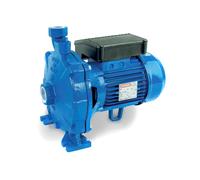 Speroni CM - Elettropompa Monogirante Ghisa Monofase Domestica Irrigazione