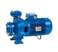 Speroni CS 32 Trifase IE3 - Elettropompa Trifase Centrifuga