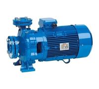 Speroni CS 40 Trifase - Elettropompa Monoblocco Centrifuga