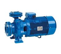 Speroni CS 65 Trifase - Elettropompa Acqua Pulita - Centrifuga Monogirante