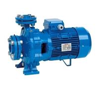 Speroni CSM 32 Monofase - Pompa Monoblocco Centrifuga