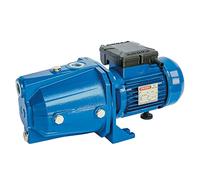 Speroni® Elettropompa autoadescante CAM 100 V.230 Hz.50