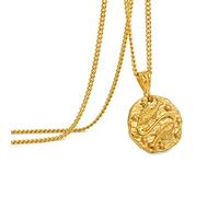 Speroto Collana Zodiaco Costellazione Regalo per Amici Famiglia Oroscopo Astrologia Collana in Acciaio Inossidabile Collana con Ciondolo in Rilievo per Uomo Donna Oro, Pesci