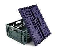 Spesh 2 contenitori pieghevoli in plastica, per cucina, camera da letto, studio (blu + verde scuro, 40 x 30 x 15 cm)