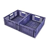 Spesh 2 scatole pieghevoli in plastica, per cameretta dei bambini, cucina, studio (blu, 40 x 30 x 15 cm)