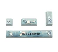 Spessi copritasti Sub Dye PBT Sub Termico Sublimazione 6.25U Spazio Inserisci Keycaps Profilo OEM 4PCS/Set Tastiera Meccanica Keycaps Sostituzione Pbt Personalizzato