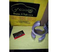 Spessori Molle Rialzo SPACER SPRING FOR NISSAN ALMERA TINO 2003 POSTERIORE 3 CM