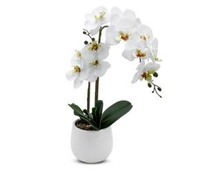 Spetebo Real-Touch Orchidea artificiale in vaso di fiori bianco - 50 cm - Orchidea decorativa in seta con vaso in ceramica - Decorazione da tavola Pianta artificiale per interni Pianta in vaso