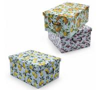 Spetebo Set di 3 contenitori per frutta con coperchio, 51 x 37 cm, 45 litri