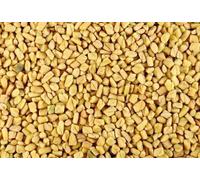 Spezie macinate e intere da tutto il mondo oltre 50 varietà HerbsnSpiceit (semi greci 50gm)
