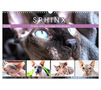 Sphinx. Grazile und anmutige Nacktkatzen (Wandkalender 2026 DIN A3 quer), CALVENDO Monatskalender: Die zierliche Sphynx Katze gehört zu den liebevollsten Katzenrassen der Welt