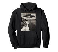 Sphynx Cat Selfie con Alien Ship UFO Abduction Retro Foto Felpa con Cappuccio