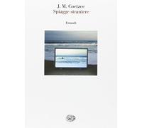 Spiagge straniere. Saggi 1993-1999
