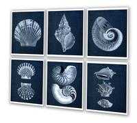 Spiaggia Decorazione Conchiglie Set Di 6 senza Cornice Arte Con Blu Scuro Sfondo