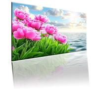Spiaggia Dipingi con i Numeri per Adulti, Paint by Numbers Fiore, Kit Pittura Adulti con Vernici e Pennelli, Kit di Pittura Acrilica Fai-da-Te per Principianti, Decorazione Murale, 20x30cm 2w-585