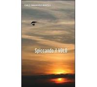 Spiccando il volo