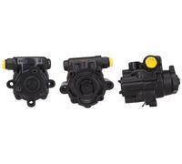 SPIDAN 54496 Pompa idraulica, Sterzo per LAND ROVER