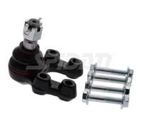 SPIDAN CHASSIS PARTS Testina braccio oscillante per NISSAN Cabstar (F24M, F24W)