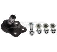 SPIDAN CHASSIS PARTS Testina braccio oscillante per RENAULT Megane IV Limousine