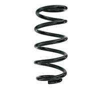 SPIDAN Fahrwerksfeder Posteriore Ammortizzatore A Spirale Ø114mm