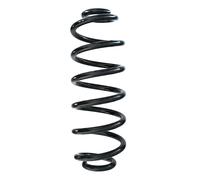 SPIDAN Fahrwerksfeder Posteriore Ammortizzatore a Spirale Ø123mm