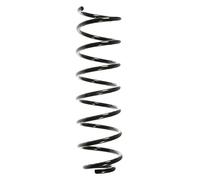 SPIDAN Fahrwerksfeder Posteriore Filo Costante Ø111mm 48482