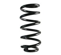 SPIDAN Fahrwerksfeder Posteriore Molla A Spirale Ø112mm per MINI