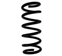 SPIDAN Fahrwerksfeder Posteriore, Molla a Spirale 134mm