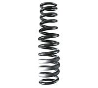 SPIDAN Federwerkfeder Posteriore Ammortizzatore Ø116mm 85601 per MERCEDES