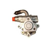 SPIDAN Pompa servosterzo idraulica 53719 per Audi, VW, Skoda