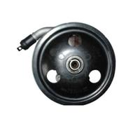 SPIDAN Pompa Servosterzo Idraulica Per Chrysler PT Cruiser PT Cabriolet 54365