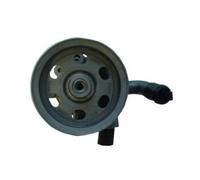 SPIDAN Pompa Servosterzo Idraulica Per Jeep Commander Grand Cherokee III 52686