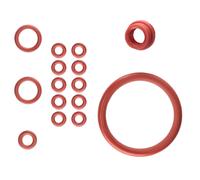 Spidem Mio Caffè Gaggia Platinum Set-10 Guarnizione Gruppo Supporto Valvola Tank