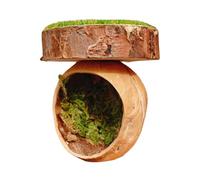 Spider Habitats - Recinzione per ragni che saltano | Gabbia magnetica fatta a mano per tarantola mantide anfibi piccoli animali domestici, scatola per habitat in acrilico con accessori per rettili o