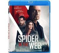 Spider in the Web