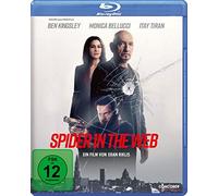 Spider in the Web