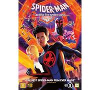 Spider-Man: Across the Spider-Verse (DVD)