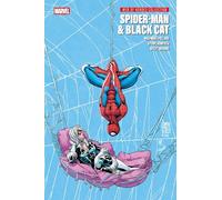 Spider-Man & Black Cat