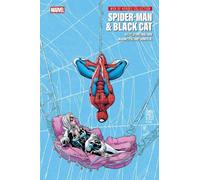 Spider-Man & Black Cat