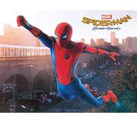 Spider-Man Homecoming - Swing 60 x 80 cm Stampa su Tela, Multicolore