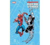 Spider-Man & Punisher. Web of heroes collection