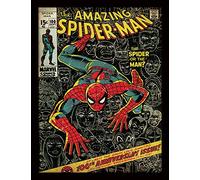 Spider-Man - Stampa incorniciata, 30 x 40 cm