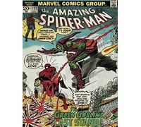 Spider-Man Stampa su Tela Goblin Verde, 60 x 80 cm, Multicolore