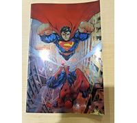 SPIDER-MAN/SUPERMAN - INCENTIVE FOIL VARIANT DI RYAN STEGMAN Panini Comics - DC