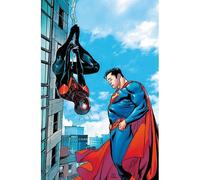Spider-Man/Superman Variant Cover di Sara Pichelli