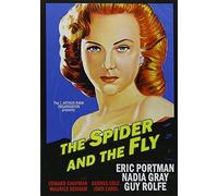 Spider & The Fly [Edizione: Stati Uniti]